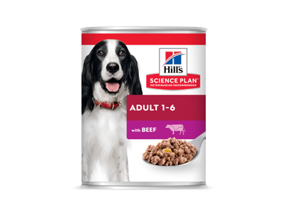 SP Canine Adult Beef 370g