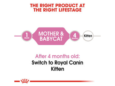 Mother & Babycat 4 KG