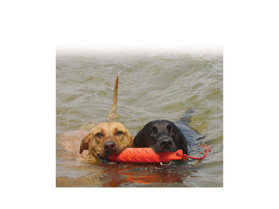 Kong træningsdummy 27x5ø CM