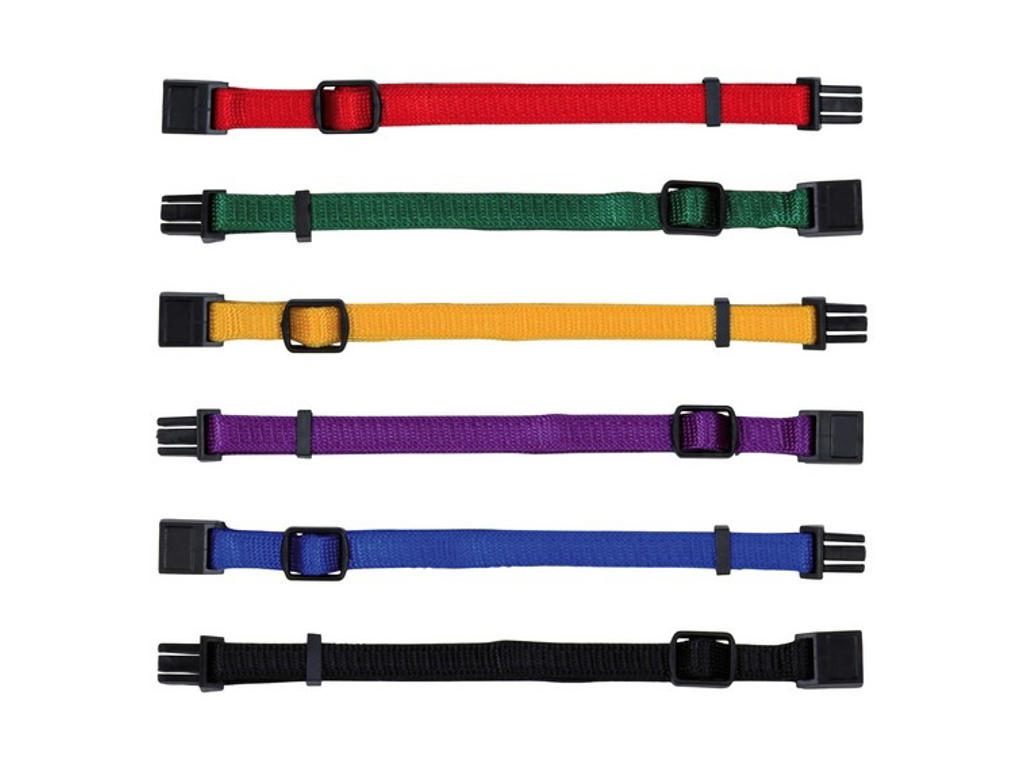 Hvalpehalsbånd, 17–25 cm/10 mm, 6 stk, assort. farver 01