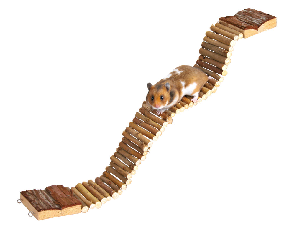 Hængebro naturtræ 55,5x7cm