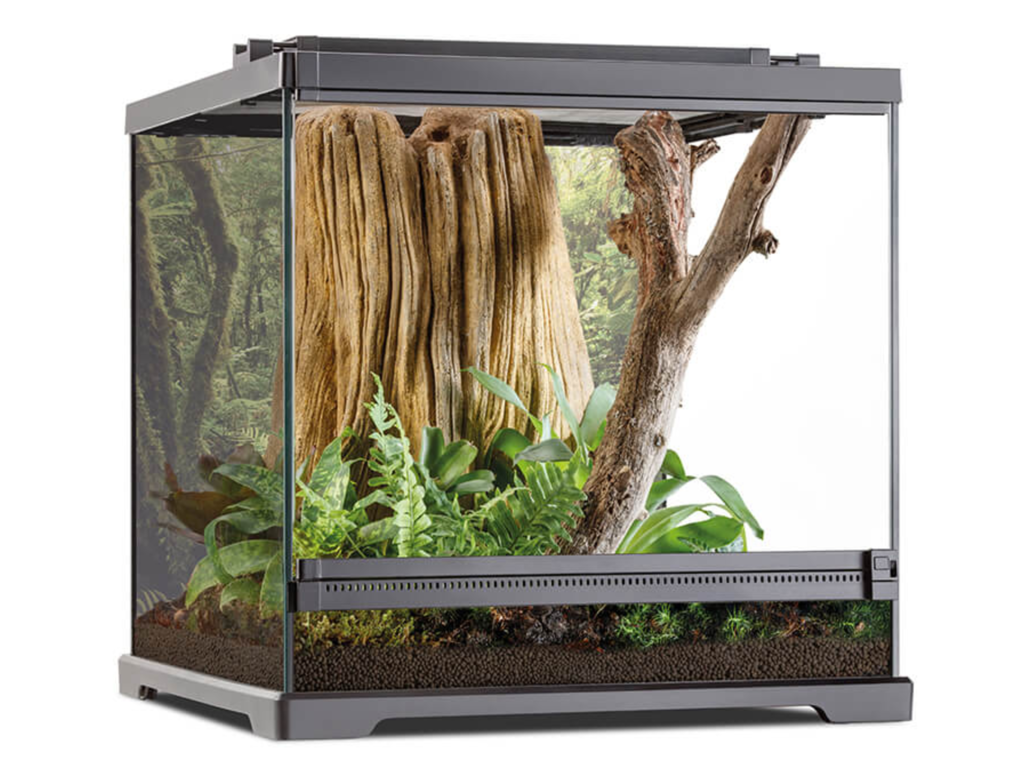 45x45x45cm Dart frø terrarium ExoTerra terrarie til frøer