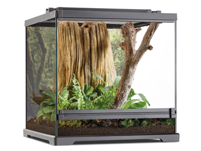 45x45x45cm Dart frø terrarium ExoTerra terrarie til frøer