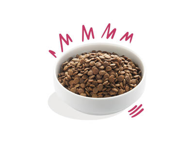 EC fresh venison & free-run adult and 7kg