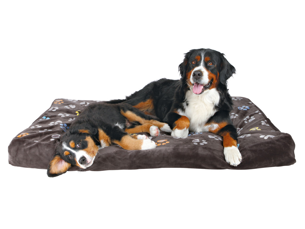 Jimmy pude, 60 × 40 cm, grå