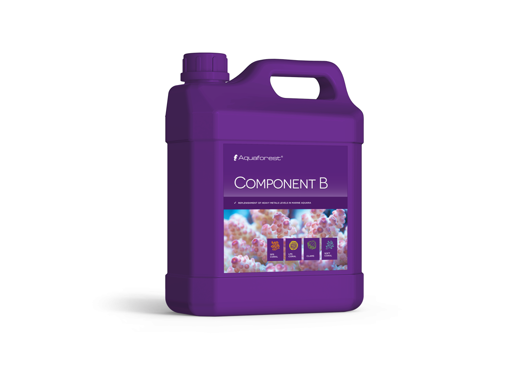 Component B 2000 ml
