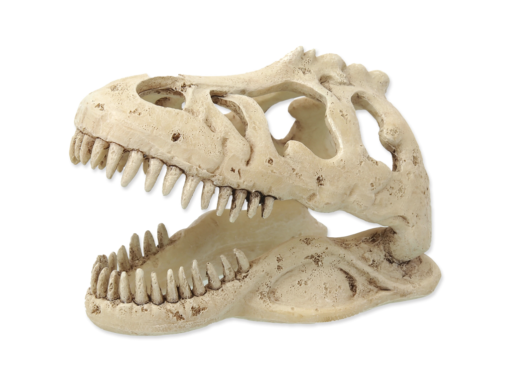 2T-REX KRANIE LILLE 13,3x8,5x9 cm