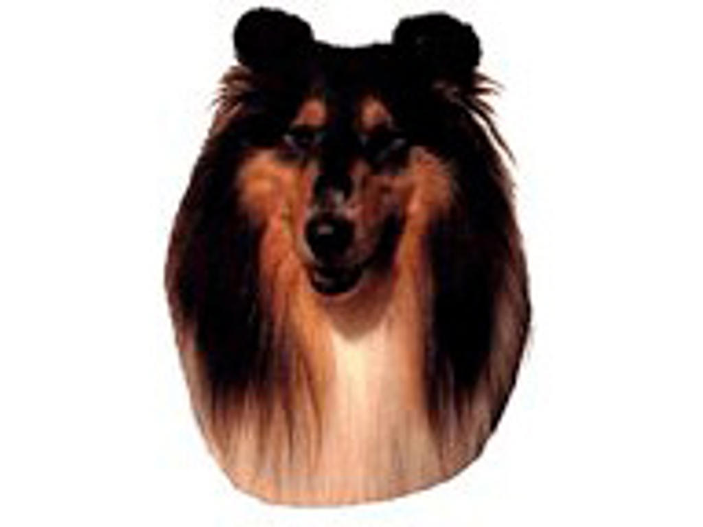 KW COLLIE TRICOLOR 8.5 CM / 4 STK