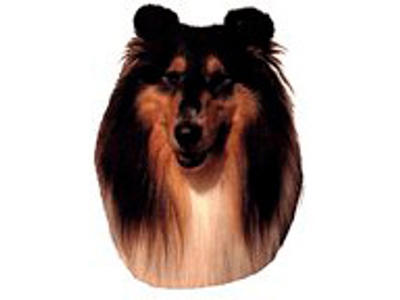 KW COLLIE TRICOLOR 8.5 CM / 4 STK