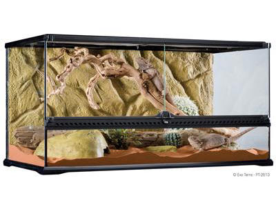 ExoTerra terrarium 90 x 45 x 45 cm.