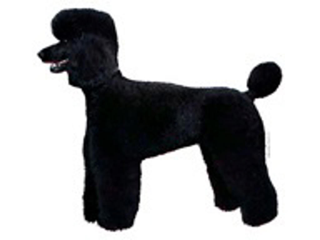 KW SORT PUDDEL 14 CM / 2 STK