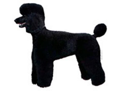 KW SORT PUDDEL 14 CM / 2 STK