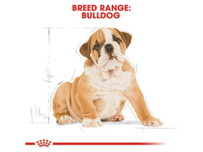 BHN BULLDOG JUNIOR 12 KG