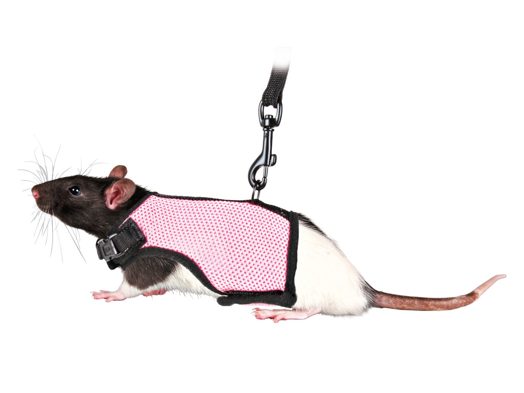 Soft sele t/rotte 12-18cm