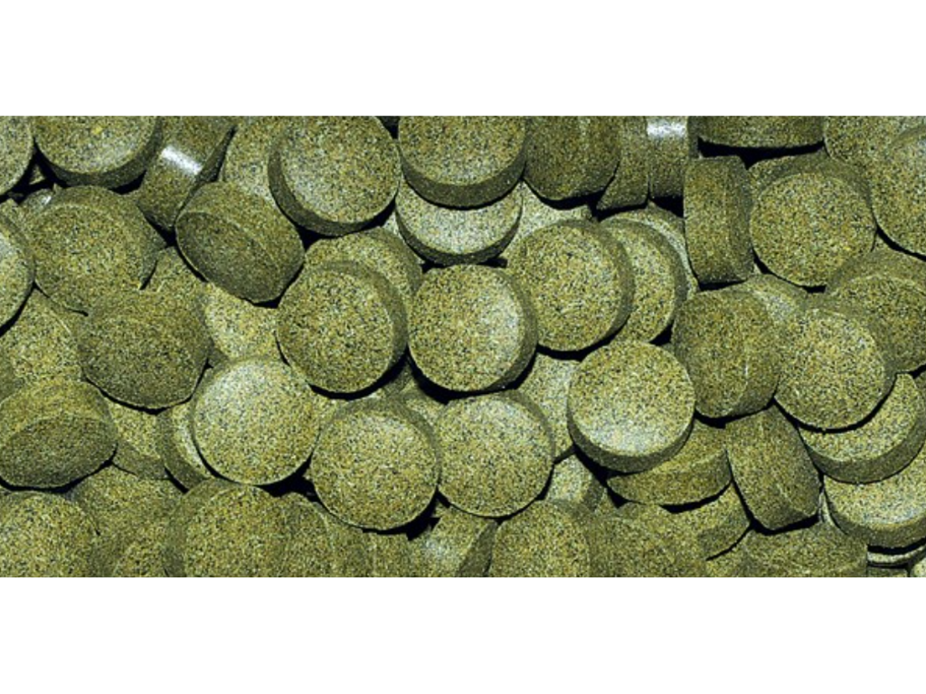 Dajana Tablets Bundpiller – Foder til Bundlevende Fisk 5000 ml Spand