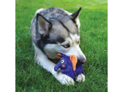 KONG ZIGWIGZ ELEPHANT M
14x14x11,5cm