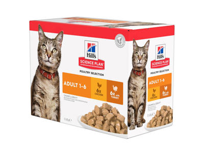 SP Feline Adult Chicken & Turkey 15x85 g