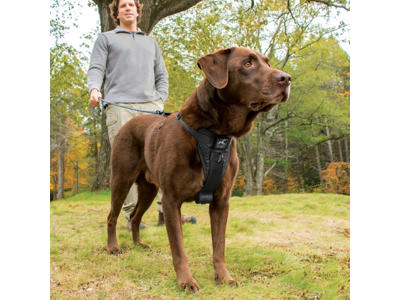 Kurgo tru-fit sele smart sort, L