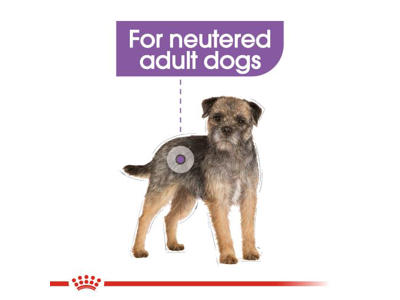 Royal Canin Mini Sterilised Adult 8 kg – Tørfoder til steriliserede små hunde