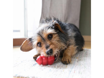 KONG CLASSIC AKTIVITETSLEGETØJ 7 CM