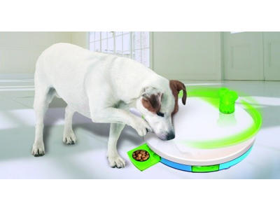 Aktivitetscenter hund level 2