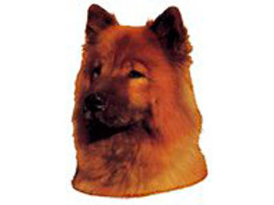 KW EURASIER 7.5 CM / 4 STK