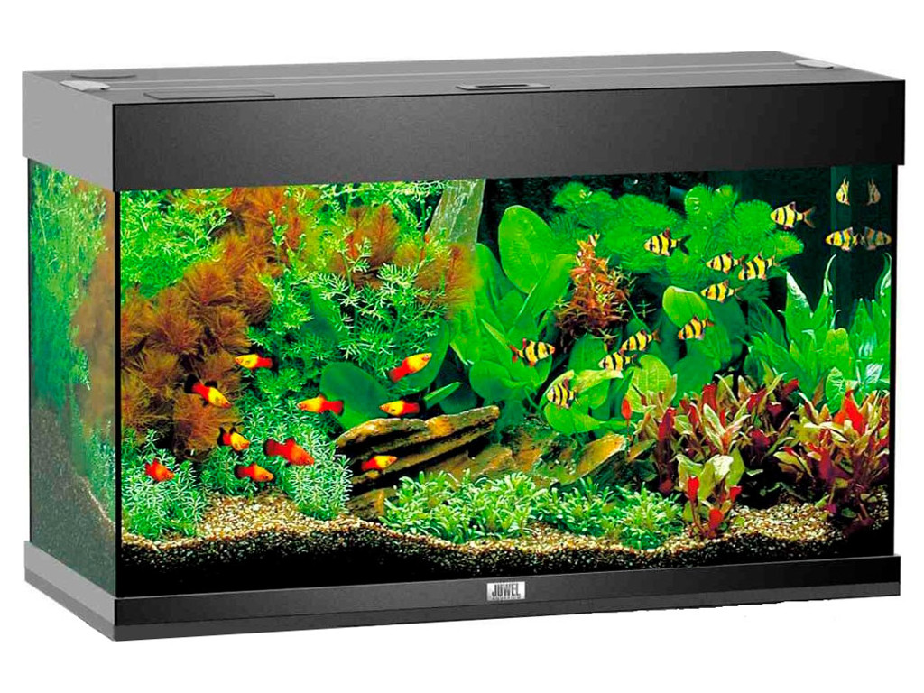 JUWEL MODEL RIO 125 LED AKVARIE SORT