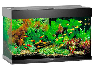 JUWEL MODEL RIO 125 LED AKVARIE SORT