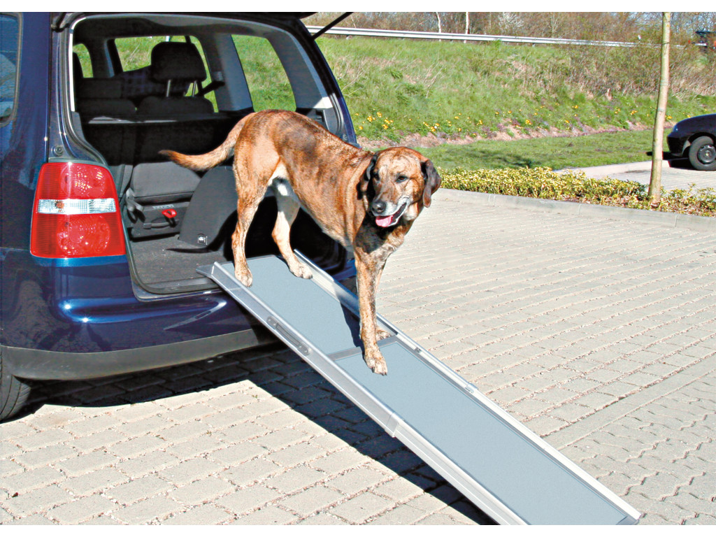 Petwalk teleskop-rampe, 1,00