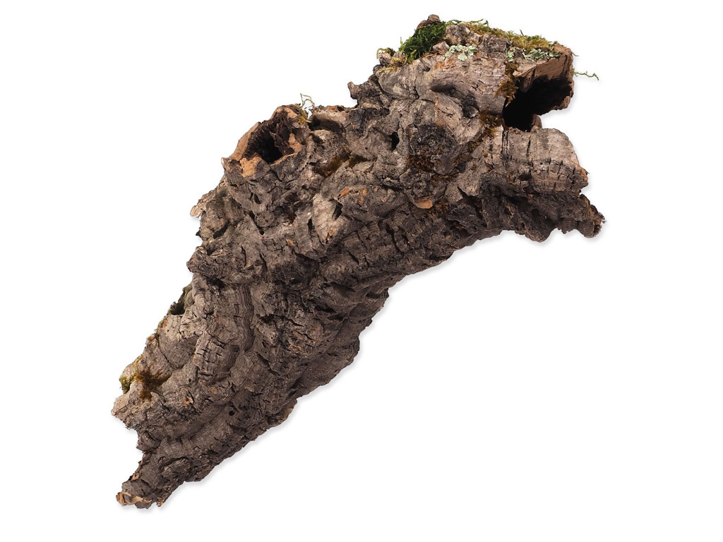 Repti Planet dekoration cork bark M 15-30cm