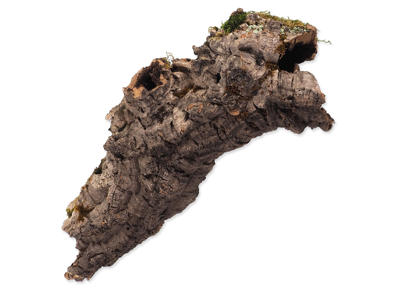 Repti Planet dekoration cork bark M 15-30cm