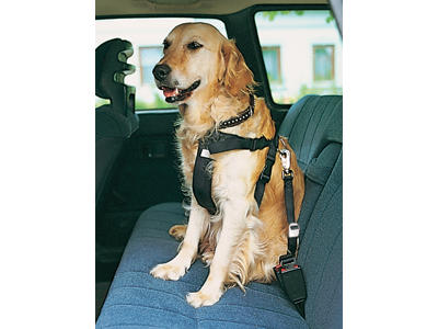 Sikkerhedssele L 70-90 cm