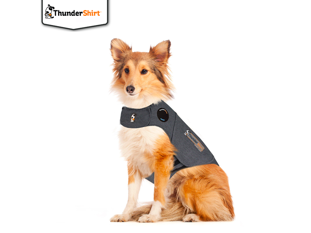 Thundershirt, grå, S (6-11 kg)