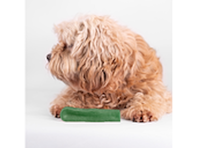 Yaki Mint M 70-75 g – Proteinrig Vegetarisk Tyggepind til Hunde