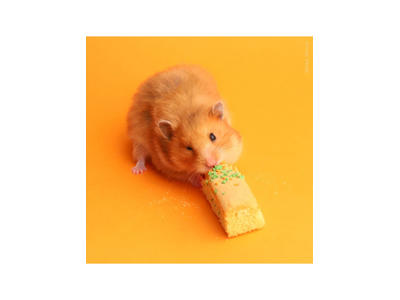 Little one kiks gulerod og spinat, 5x7 g