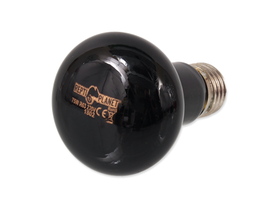 PÆRE MOONLIGHT VARME 75W