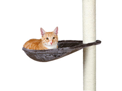 Hængehylde t.kradsetræ m.ramme