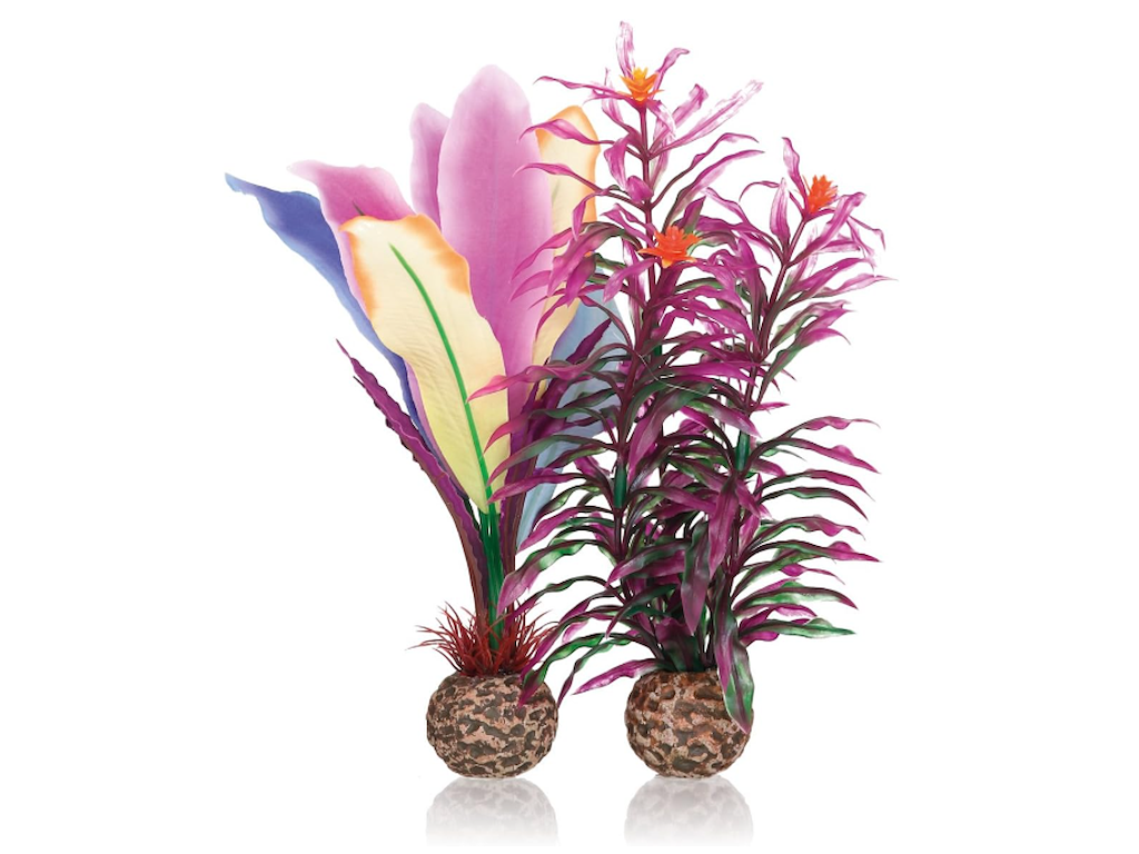 OASE biOrb Dekorationssæt parrot Feather M – Akvariepynt med Kunstig Plante