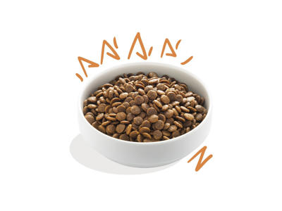 EC fresh free-run adult kylling 12kg