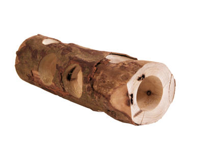 Gnavertunnel naturtræ 30cm