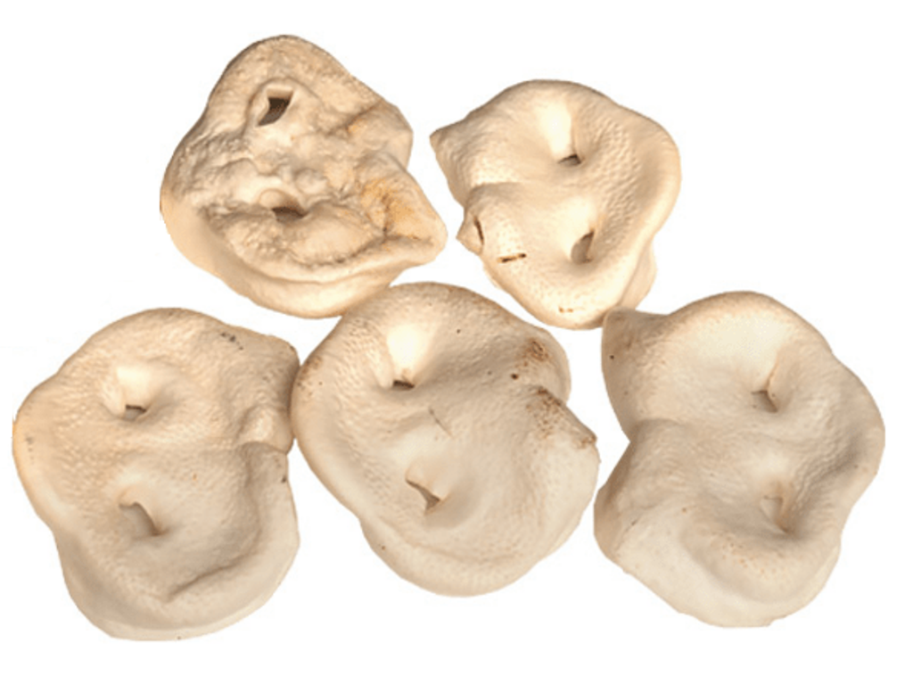  Snack'it Hvide Tryner 5stk.