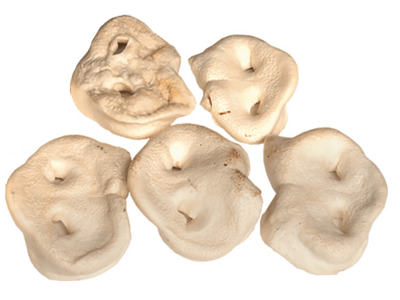  Snack'it Hvide Tryner 5stk.