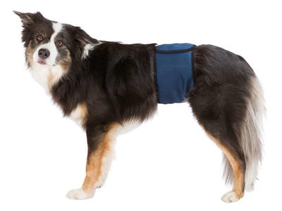 Trixie Mavebind for Hanhund – Str. S (29-37 cm) – Beskyttende & Absorberende