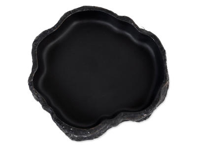 Stor vandskål Reptiplanet