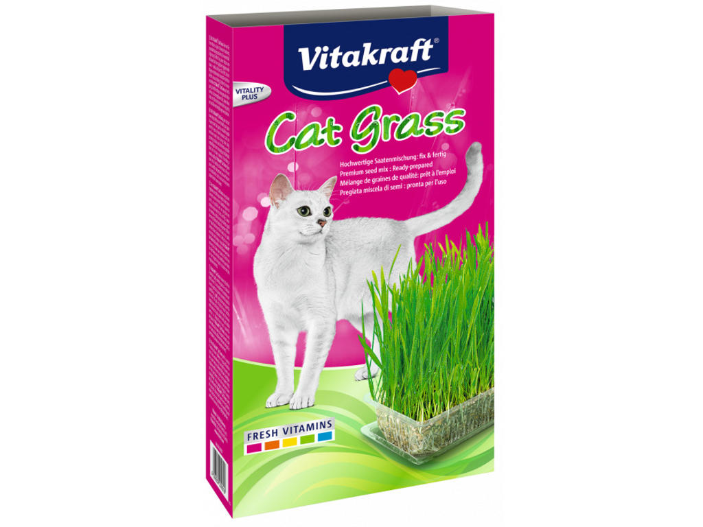 Cat-Gras i Bakke