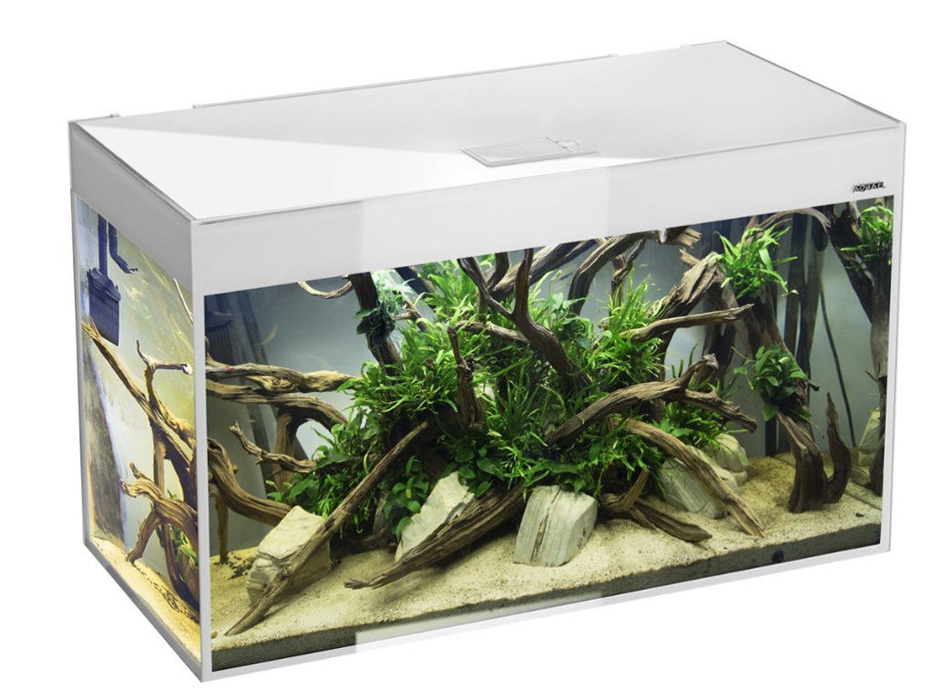 Glossy 100 Akvarie 100x40x63 Hvid 215 Ltr