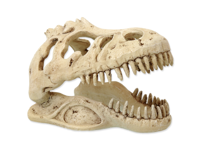 2T-REX KRANIE LILLE 13,3x8,5x9 cm