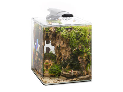 Aquael OptiBent Set 30 Hvid – Buet akvariesæt 30L m. optiglas, LED, varmelegeme og filter