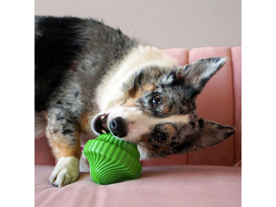 Kong squeezz orbitzsaucer mix S/M 9x9x6CM