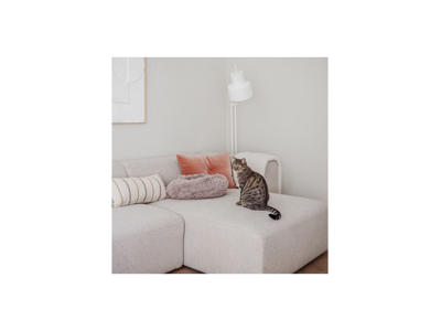 District 70 fuzz sand - S